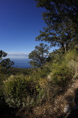 Fototapeta premium Sunny day in Montenegro, near Bar Fall 2023