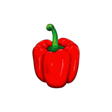 red pappers png to be used anywhere
