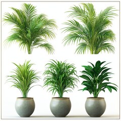 Obraz premium Lush Indoor Greenery: A Collection of Potted Palm and Tropical Plants for Home Decor, Showcasing Varieties of Leaf Textures and Foliage Styles in Elegant Stone-Look Pots