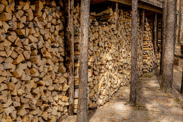 Stacked firewood pile in a forest setting. Stacking and storage firewood, chopped logs ready for...