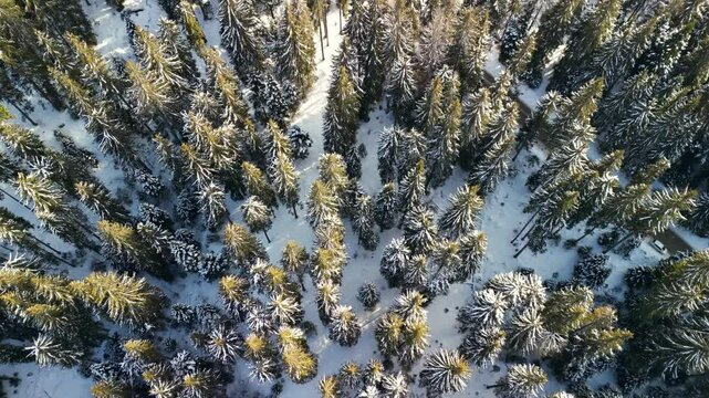 A breathtaking aerial perspective of Malina Pamporovo ski resort reveals snow-covered slopes and cozy wooden cabins, illuminated by a vibrant sunset. The serene landscape invites winter activities.