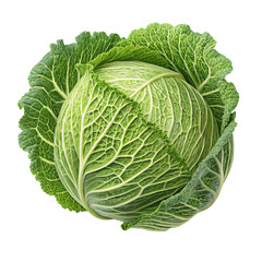 High Resolution Image Of A Fresh Cabbage Isolated