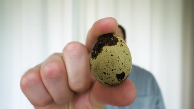 Portrait of a man with quail eggs. Quail eggs in a man's hands in motion. Slow motion. On a white background