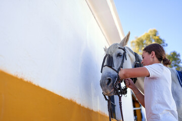 Teenage girl tacking up her horse in a stable, gently placing the bridle and reins as she prepares for an exciting ride