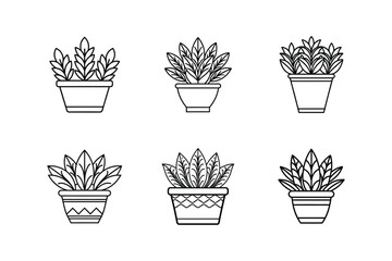 decorative plant pot line art vector illustration