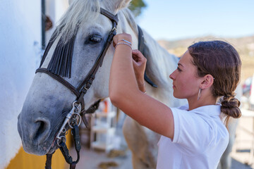 Experienced female equestrian bridling white horse, sunlight streaming through stable windows, rural setting radiating calm