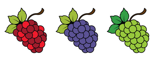 Set of Grape Icons Fruits, bunches of grapes icons, Flat vector red, green, blue grapes branch logo, Vector illustration