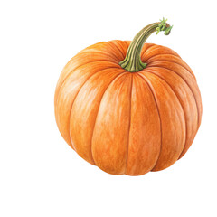 Obraz premium High Resolution Image Of A Fresh Pumpkin Isolated