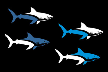vector illustration of a shark, dark background