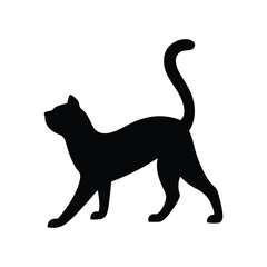 black cat on white background