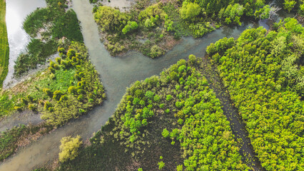 wetland wetlands nature background nobody aerial drone photography