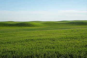 Fototapeta premium Rolling green hills under a blue sky, perfect for landscape photography and scenic backgrounds