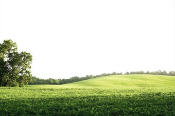 Obraz premium Lush green field with trees on a bright day for agriculture and nature themes. use cases: landscape design, environmental projects.