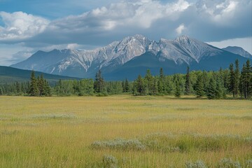 Scenic mountain range with meadow and forest landscape for travel and tourism