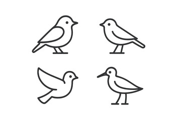 Obraz premium Four minimalist bird illustrations featuring various poses and styles on a clean background
