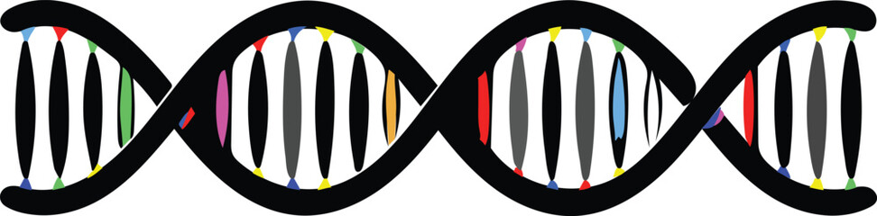 Scientific Vector of DNA Strands in Various Bright Colors