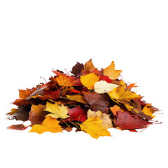 A pile of colorful autumn leaves in shades of yellow orange red and brown against a black background space