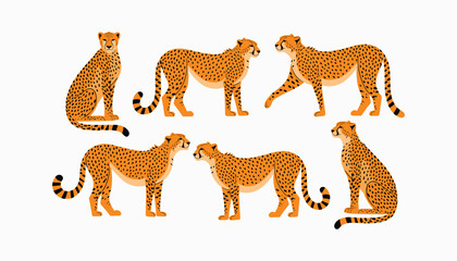 different poses cheetah set, wildlife animal vector © Fahimaakter