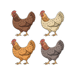four cute chicken set vector on white background