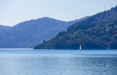 Queen Charlotte Sound with surrounding hills in the South Island, New Zealand