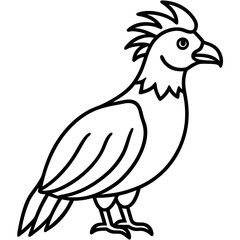 rooster isolated on white background