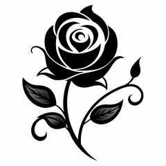 black and white rose