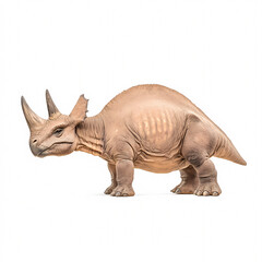 A playful Triceratops figure sparks imagination in a vibrant indoor dinosaur exhibit.