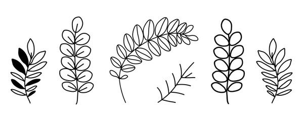 Set of six natural icons isolated on  white background. In  black and white version,  leaves and stems. Environment, nature, flora. Decoration for postcards, posters, business cards, invitations.