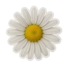 A close-up shot of a vibrant daisy, capturing its intricate details of the bloom's texture and color, with radiating petals.