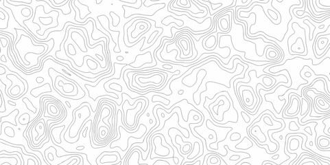 Obraz premium Abstract minimal The patter discovery vector topo map. creative discovery White wave grid stripe line map topography. vector geographic contour mounted map background. 