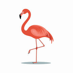 Pink flamingo on a white background., cartoon vector illustration