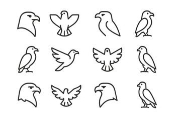Fototapeta premium Various bird outlines displayed in a minimalistic style showcasing diverse species and forms