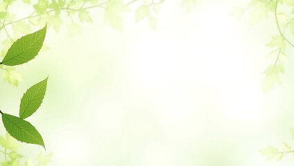 Obraz premium Fresh green foliage adorns a soft backdrop creating a serene atmosphere