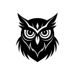 owl face with intense eyes   wisdom emblem 