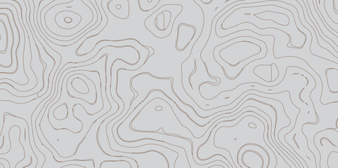 Topographic Map Seamless Pattern. Topography map background. Vector geographic contour map.
