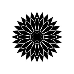 sunflower head with detailed seed pattern   bright.svg