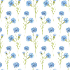 Seamless watercolor pattern with blue cornflower flowers on a white background. Vintage-style botanical pattern, floral wallpaper, fabric pattern, wrapping paper, natural-style interior decoration.