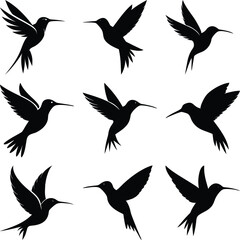 Obraz premium Nine black hummingbird silhouettes display varied wing positions in a clear composition