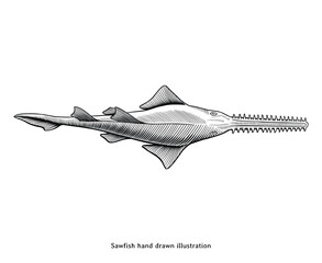 Vintage Sawfish Hand Drawn Illustration