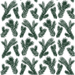 Pine branch pattern fir tree endless seamless pattern