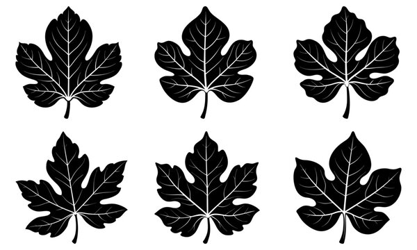 Fig Leaf Silhouette vector illustration