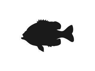 One bluegill fish silhouette icon vector illustration design. bluegill fish, vector illustration, black silhouette, side view. Bluegill fishing silhouette icon vector on a white background.