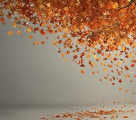 Falling maple leaves, swirling motion, various colors ,  plant,  multiple leaves