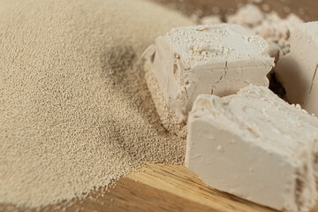 Comparison of Fresh Wet Yeast and Granular Dry Active Yeast.