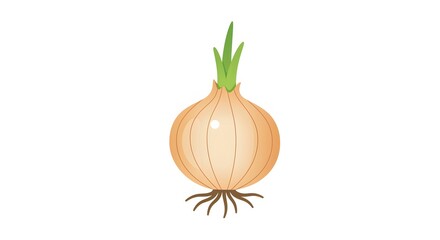Fresh organic green onion vegetable bulb with roots isolated on a white background