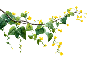 twisting vine branch with small yellow blooms and dew-covered leaves, watercolor effect for elegant overlays, isolated to transparent background