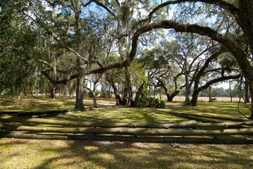 Dade Battlefield Historic State Park Bushnell, Florida 