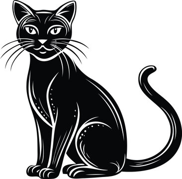 black cat vector illustration