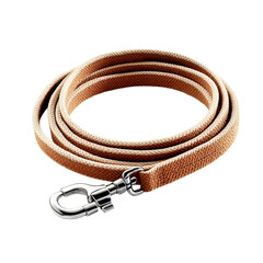 A high-angle studio shot reveals a coiled, luxurious leather dog leash, a symbol of refined canine companionship. The image exudes a sense of elegance.