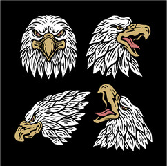 set of eagle head vintage illustration	
